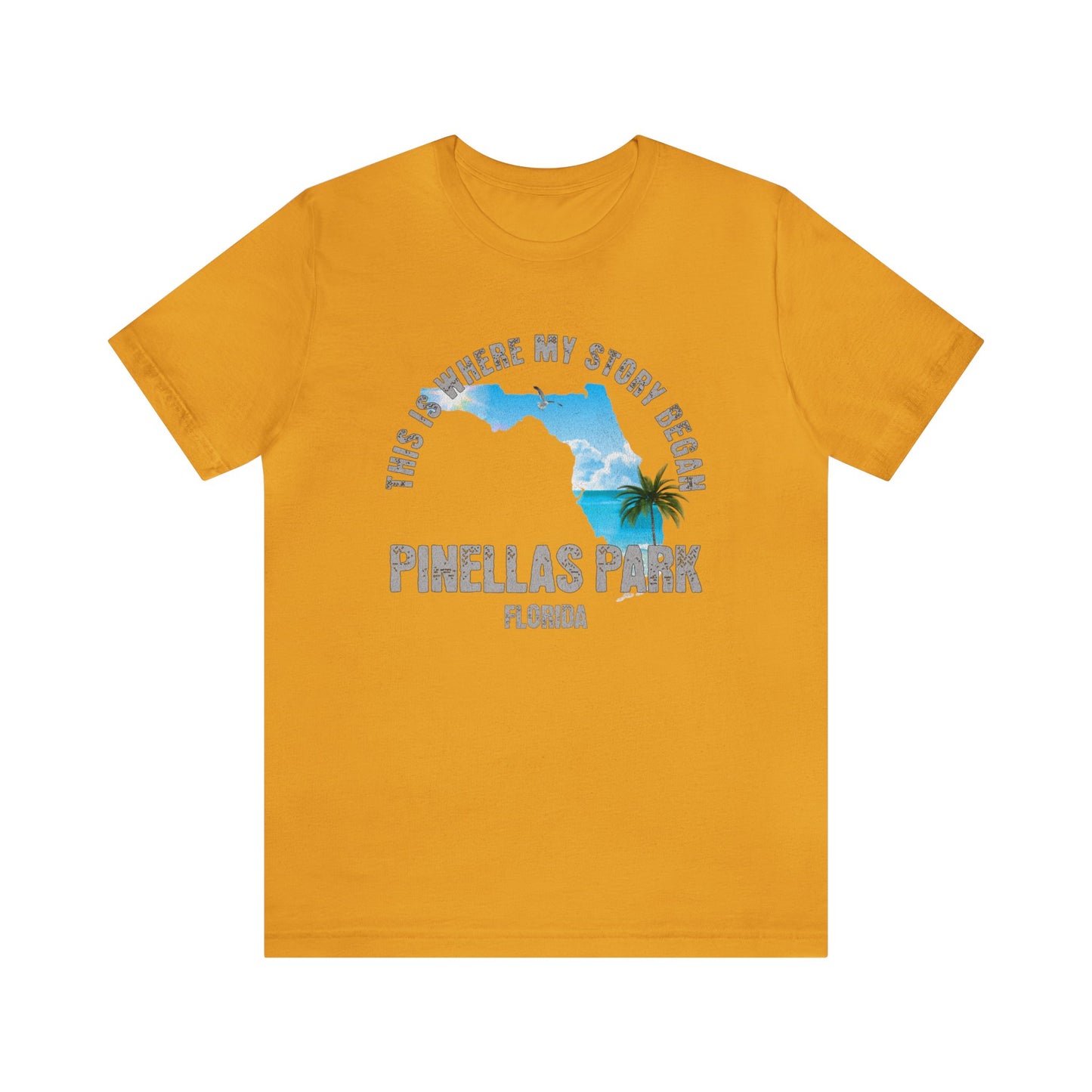 State of Florida T-Shirt - This is where my story began Pinellas Park Florida, Birthday Gift, Origin Story, Home Town, Gift for Dad, Mom