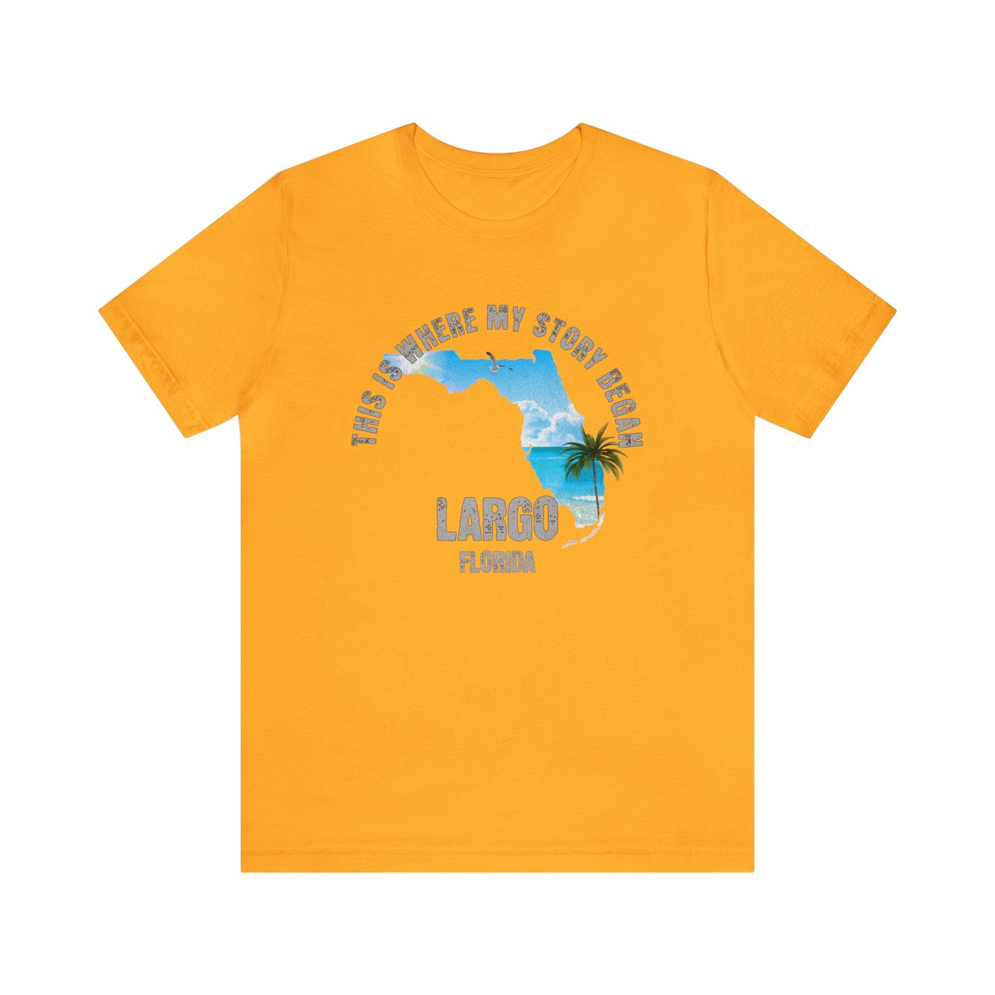 State of Florida T-Shirt - This is where my story began Largo Florida, Birthday Gift, Origin Story, Home Town, Gift for Dad