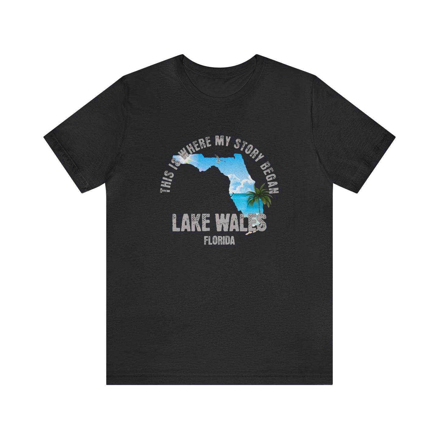 State of Florida T-Shirt - This is where my story began Lake Wales Florida, Birthday Gift, Origin Story, Home Town, Gift for Dad