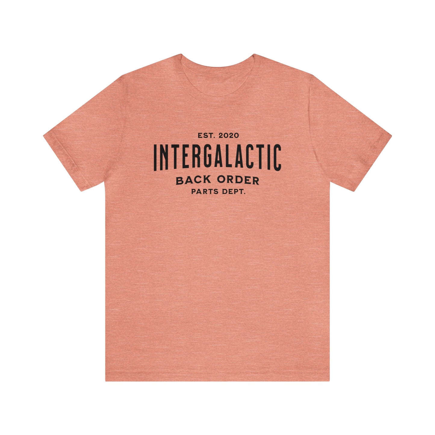 Intergalatic Back Order Brought to you by the Parts Department, Gift for Parts Manager, Dealership Employee, Parts Counter Person, Birthday