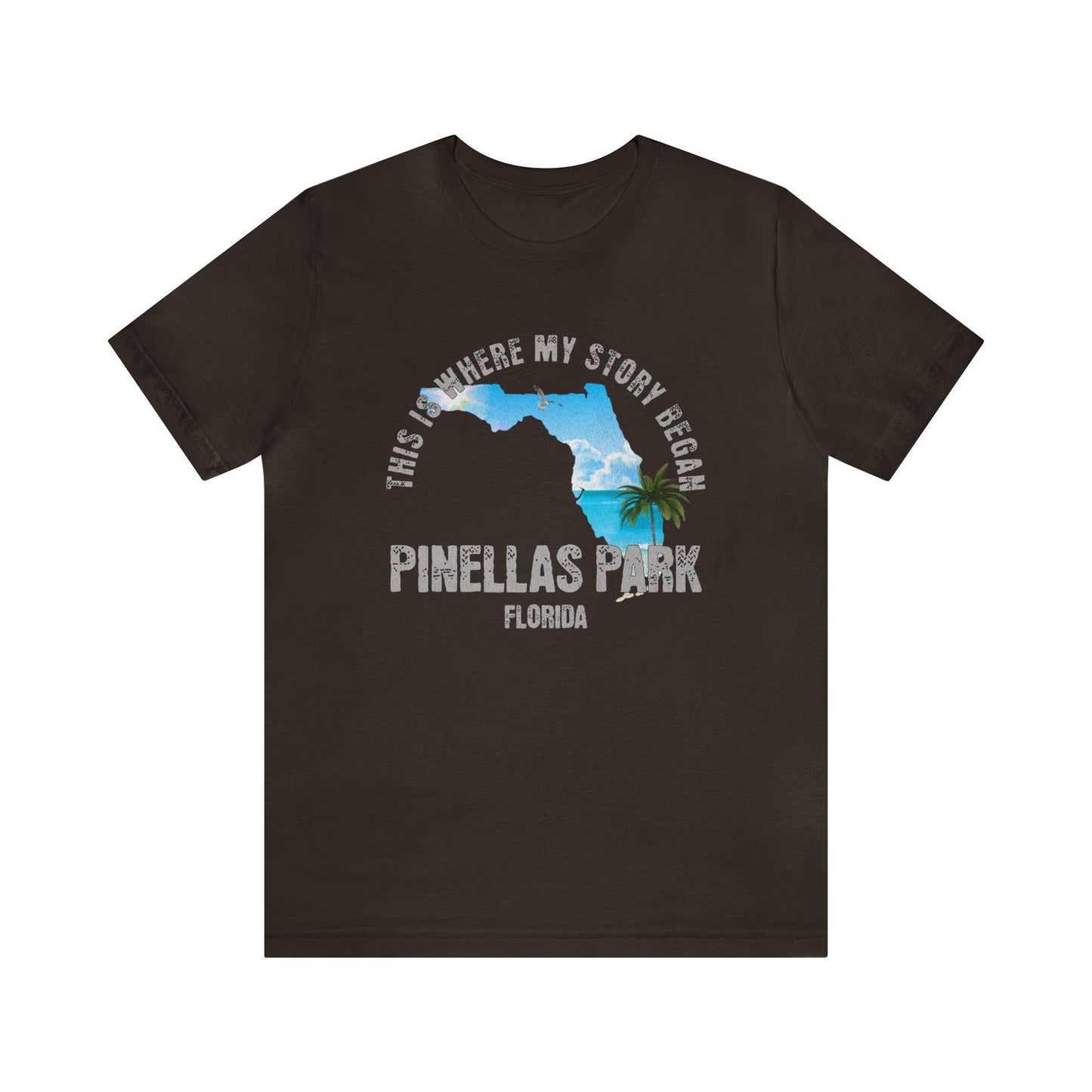 State of Florida T-Shirt - This is where my story began Pinellas Park Florida, Birthday Gift, Origin Story, Home Town, Gift for Dad, Mom