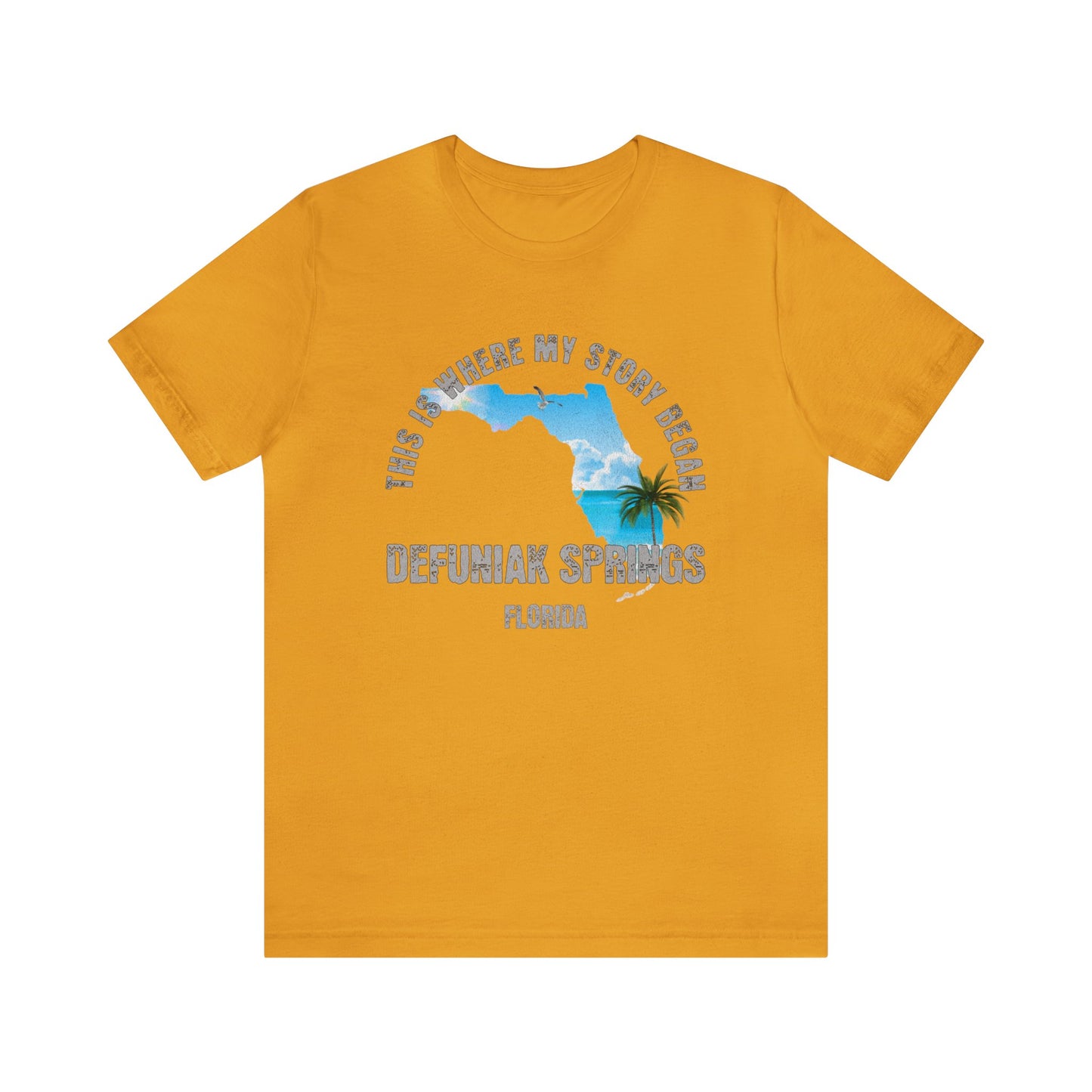State of Florida T-Shirt - This is where my story began DeFuniak Springs Florida, Birthday Gift, Origin Story, Home Town, Gift for Dad