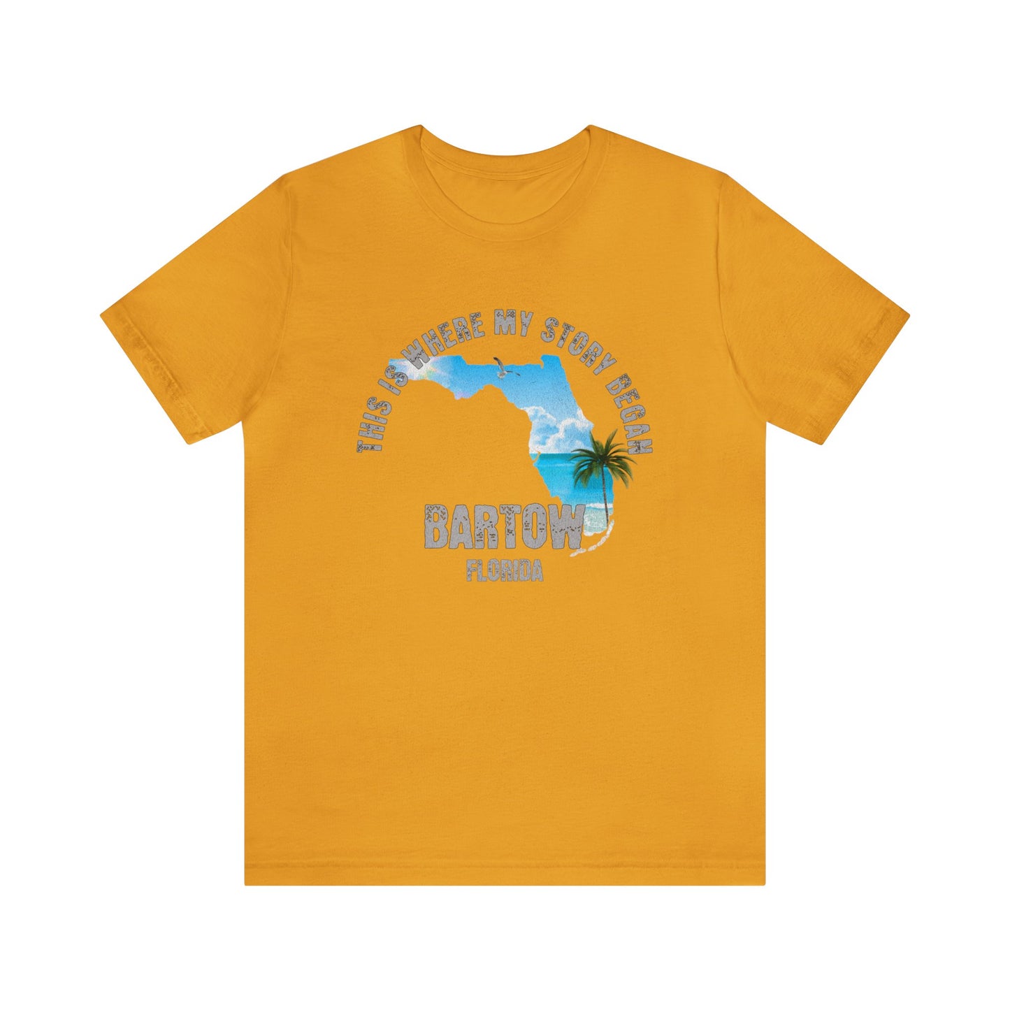 State of Florida T-Shirt - This is where my story began Bartow Florida, Birthday Gift, Origin Story, Home Town, Gift for Dad