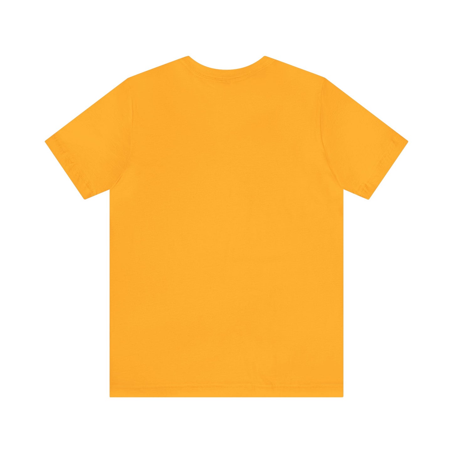 State of Florida T-Shirt - This is where my story began Tallahassee Florida, Birthday Gift, Origin Story, Home Town, Gift for Dad, Mom