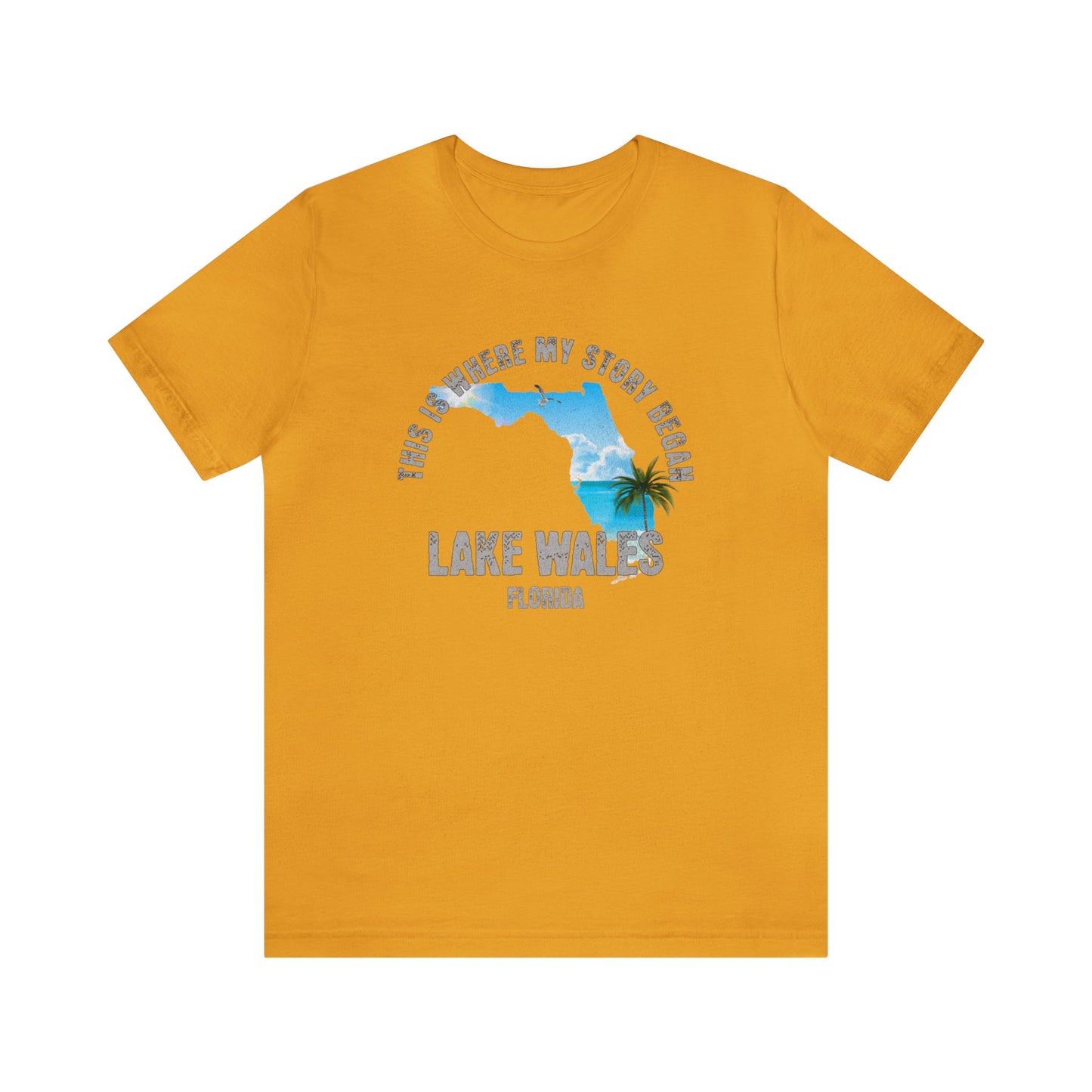 State of Florida T-Shirt - This is where my story began Lake Wales Florida, Birthday Gift, Origin Story, Home Town, Gift for Dad